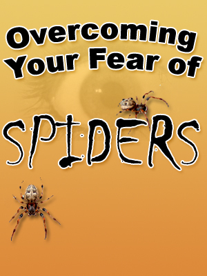 Product picture Overcoming Your Fear of Spiders